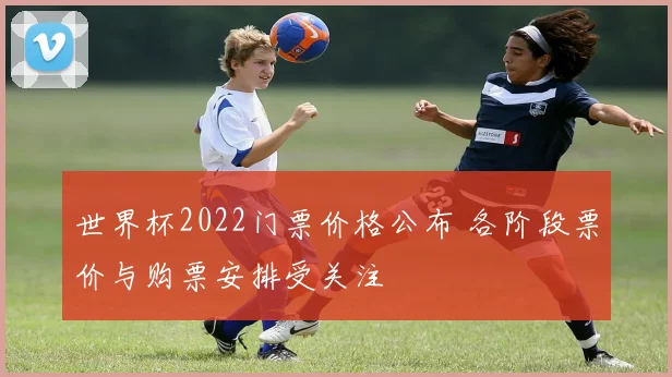 世界杯2022门票价格公布 各阶段票价与购票安排受关注