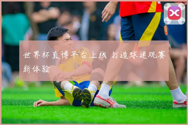 世界杯直博平台上线 打造球迷观赛新体验