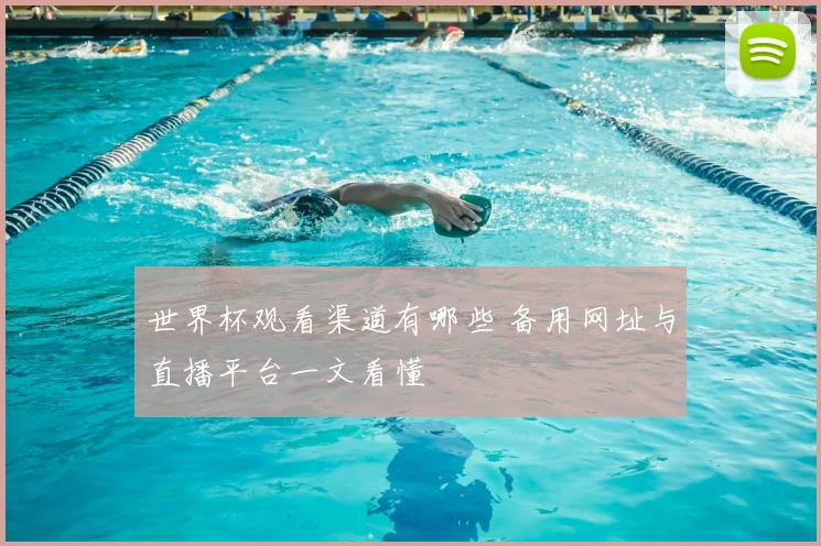 世界杯观看渠道有哪些 备用网址与直播平台一文看懂
