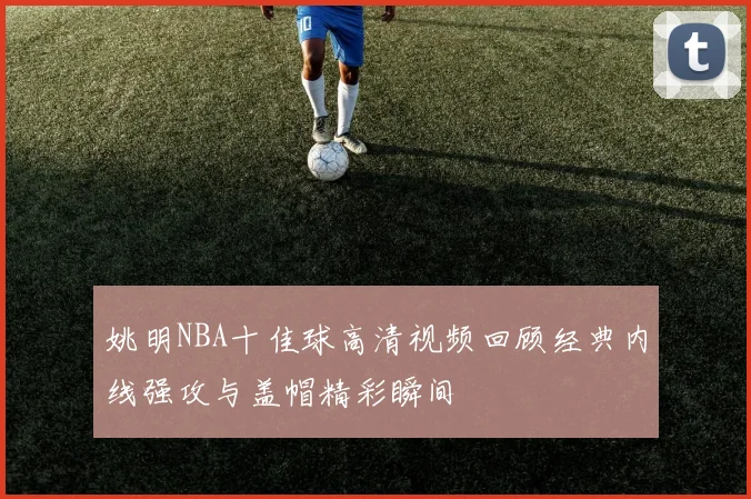 姚明NBA十佳球高清视频回顾经典内线强攻与盖帽精彩瞬间