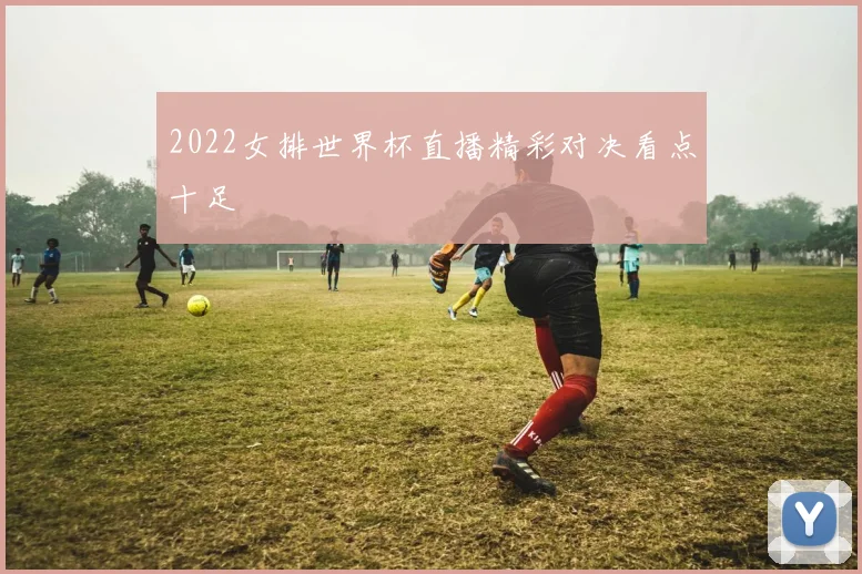 2022女排世界杯直播精彩对决看点十足