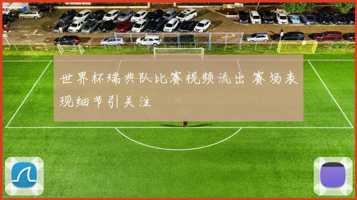 世界杯瑞典队比赛视频流出 赛场表现细节引关注