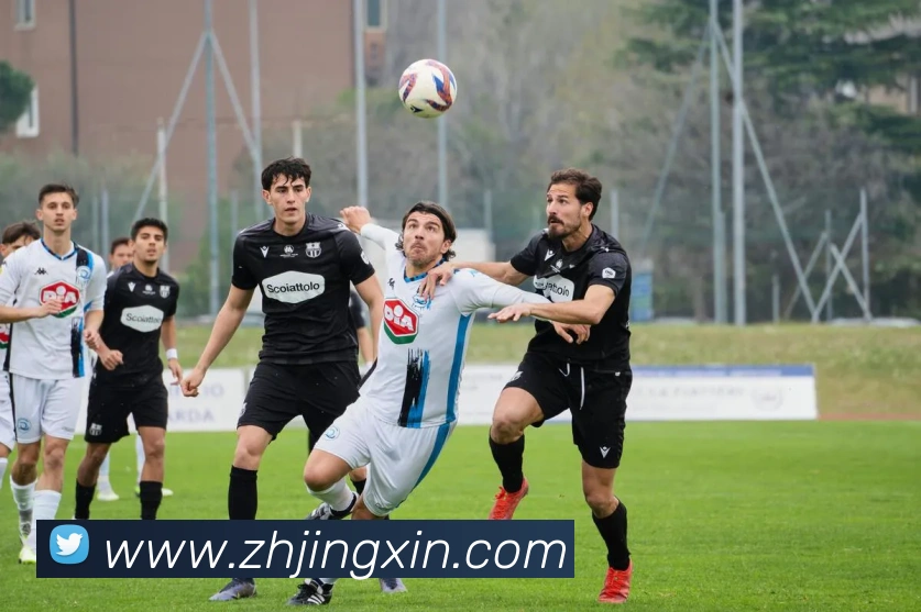 hth体育官网登录入口网址APP 高清赛事图